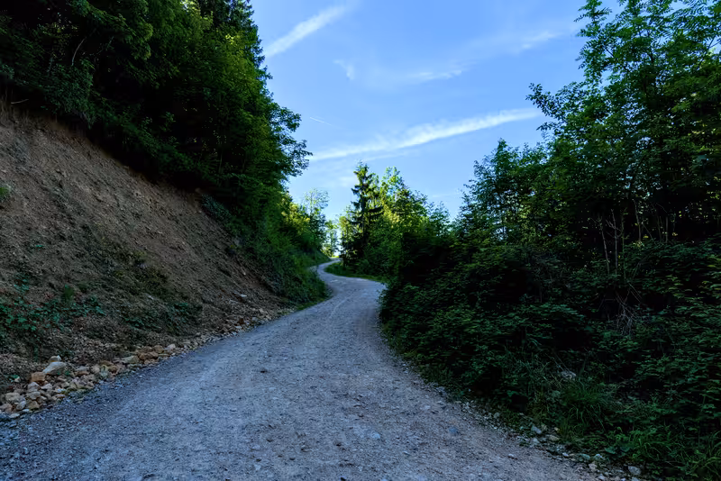 The path.