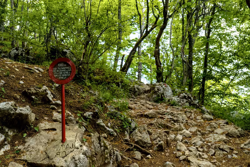The path.