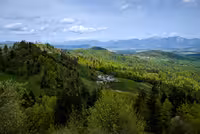 A view from Rog.