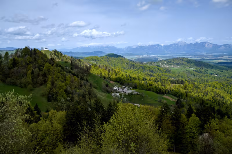 A view from Rog.