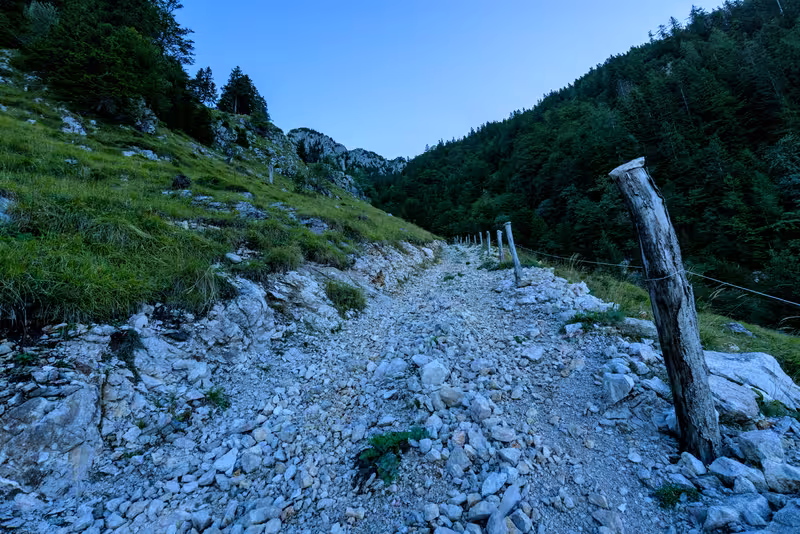 The path.