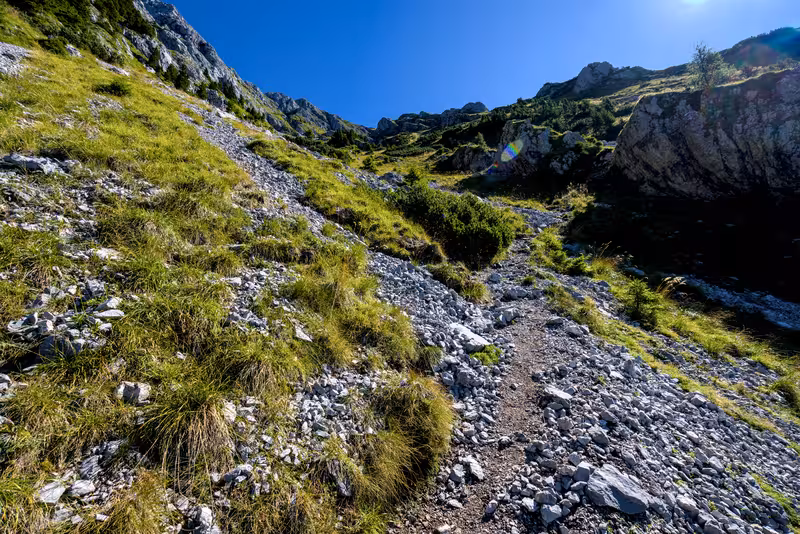 The path.