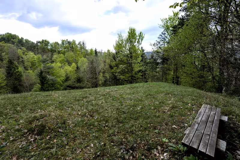 The bench and view.