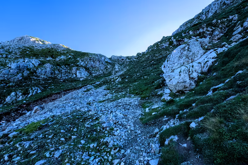 The path.