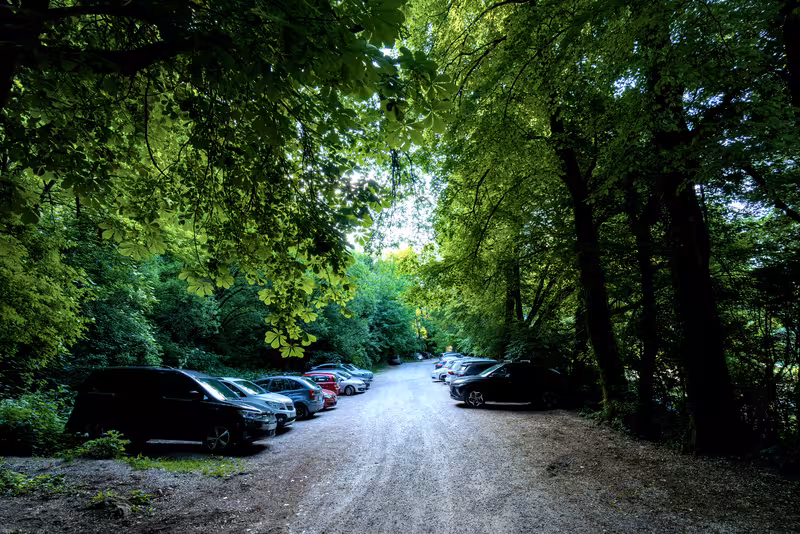 The parking area.