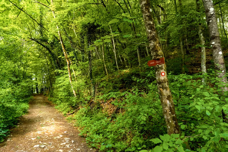 A sign saying "Lubnik - lažja pot" next to the path.
