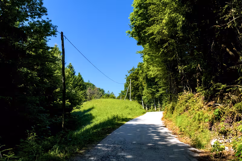 The road.