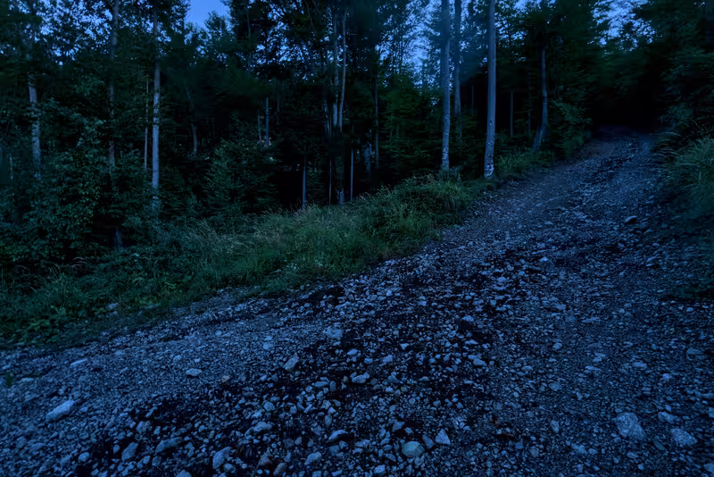 The path.