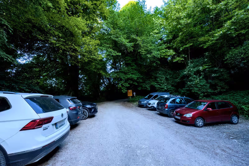 The parking area.
