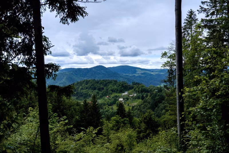 A view from the path.
