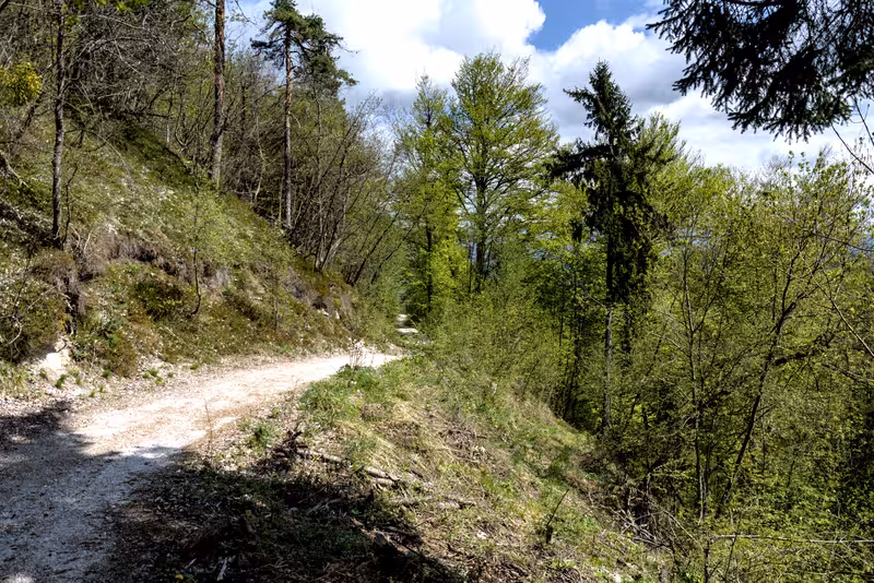 A view from the path.
