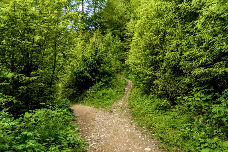 A fork in the path.