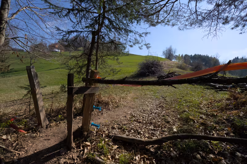 The exit from the forest.