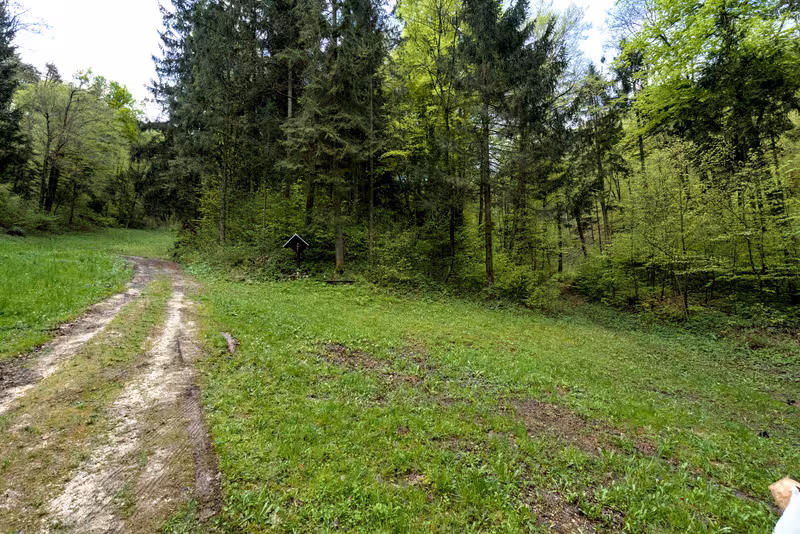 The path with the detour path branching off to the right.