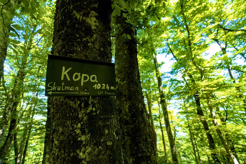 Kopa.