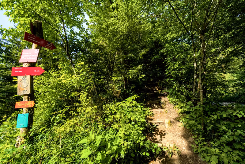 The start of the path.