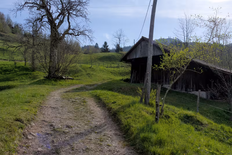 The path with the church of Saint Jakob visible in the distance.