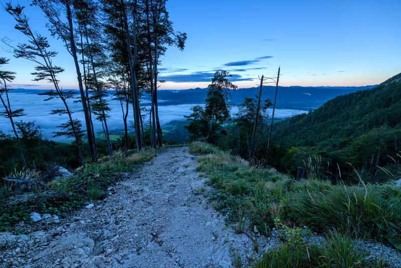 A look back along the path.