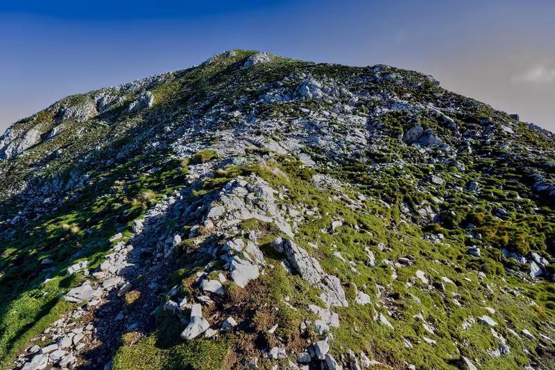 The path.