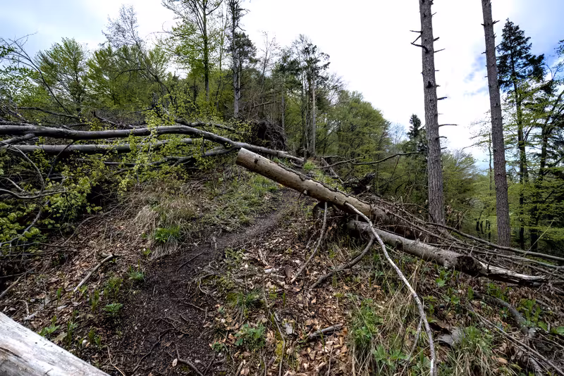 The steep path.