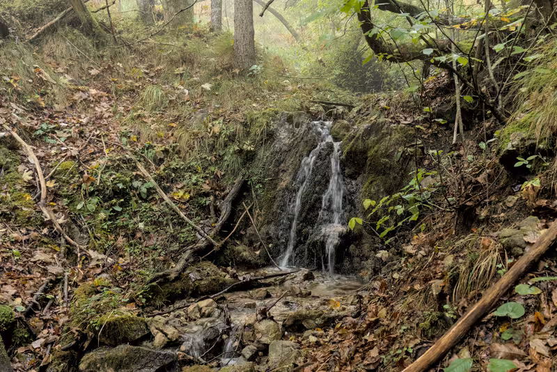 A small waterfall.