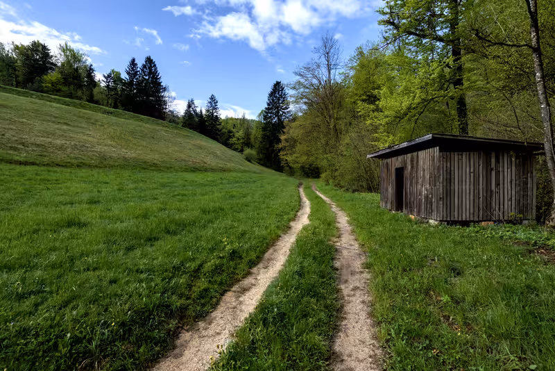 The path.