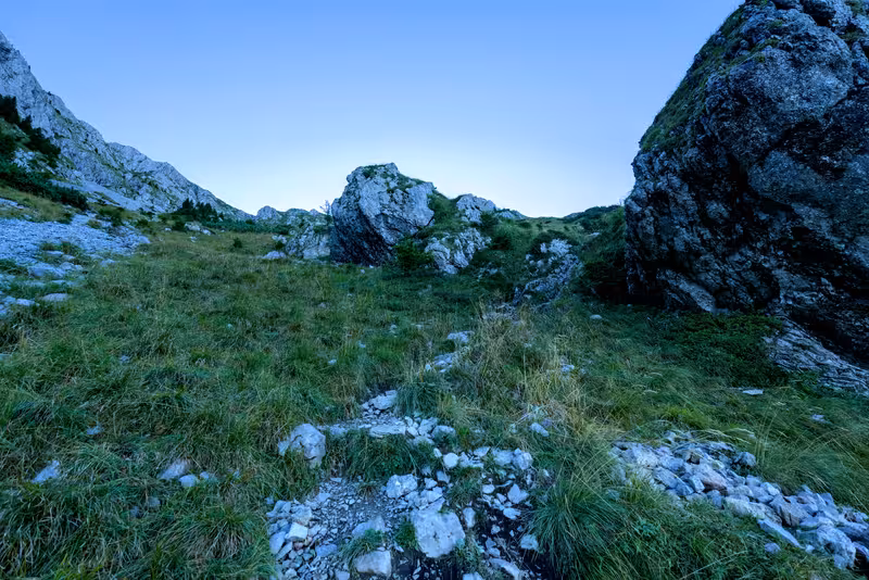 The path.