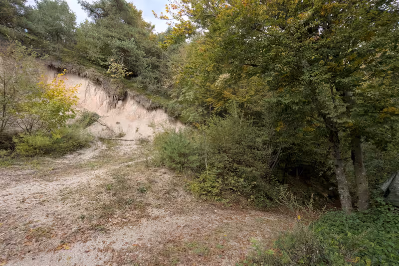 The path.