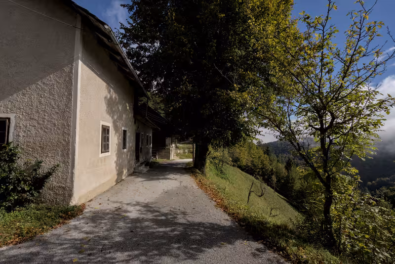 The road.