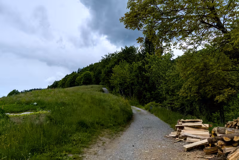 The path.