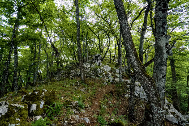 Mali Lubnik.