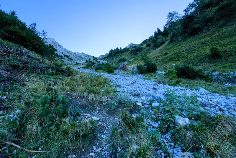 The path.