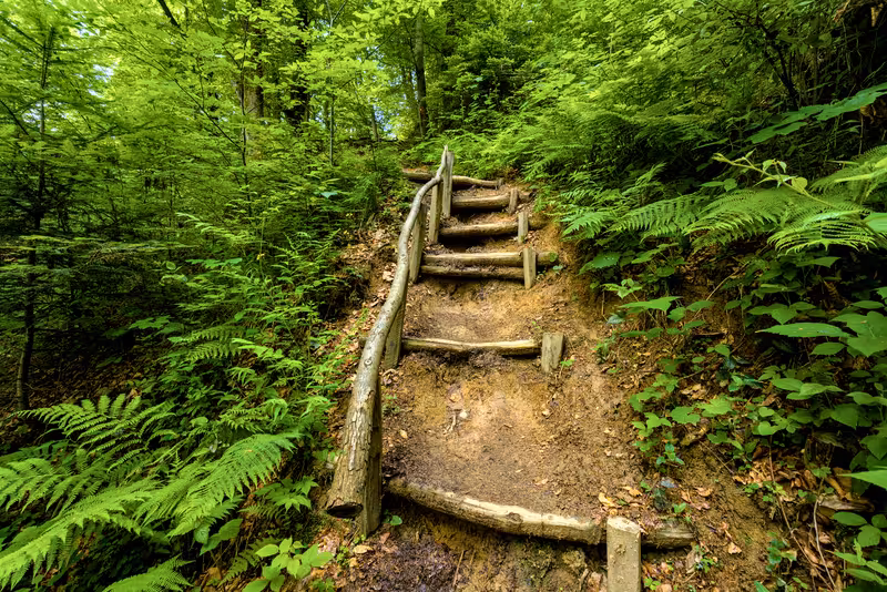 A bit of stairs in the path.