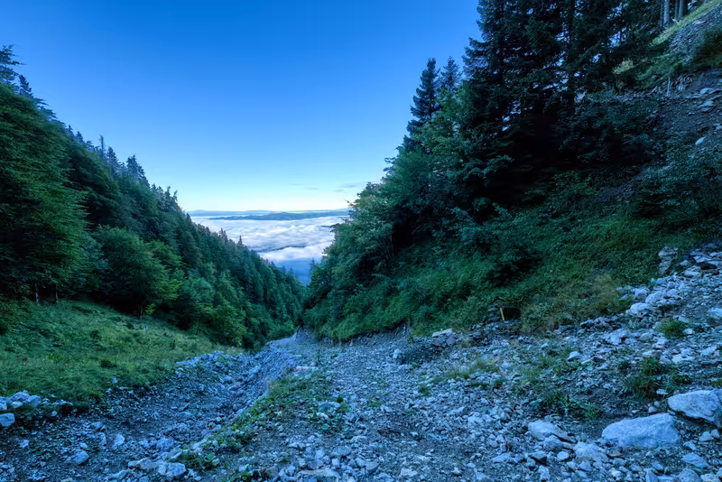 A look back along the path.