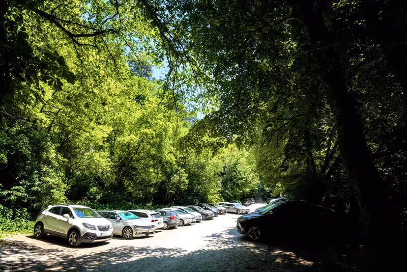The parking area.