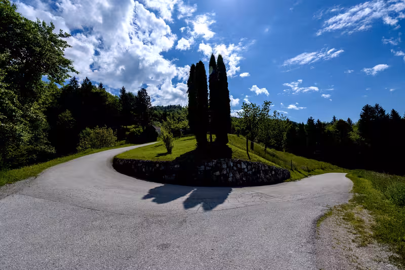 The path.