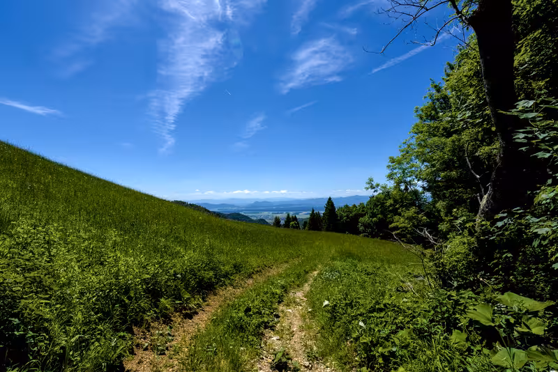 Davovec meadow.
