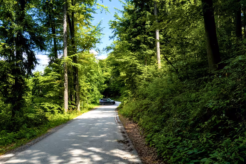The roadside parking area.