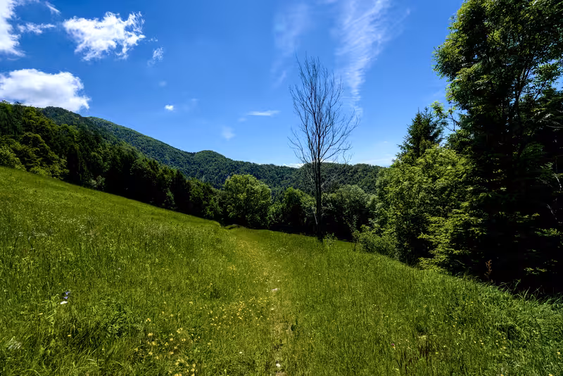 Davovec meadow.