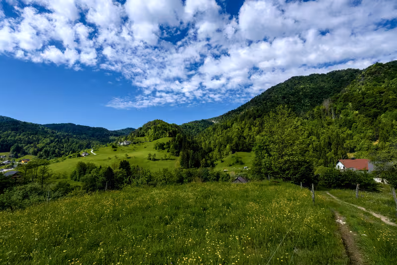 A view from the path.