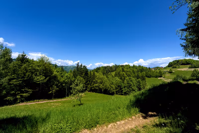 A view from the path.