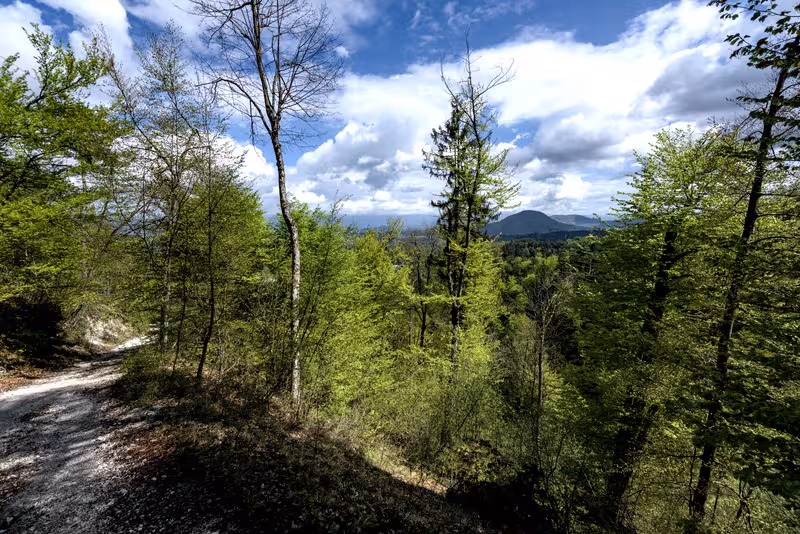 A view from the path.
