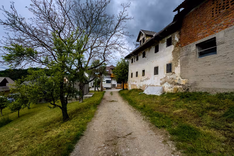 The path.