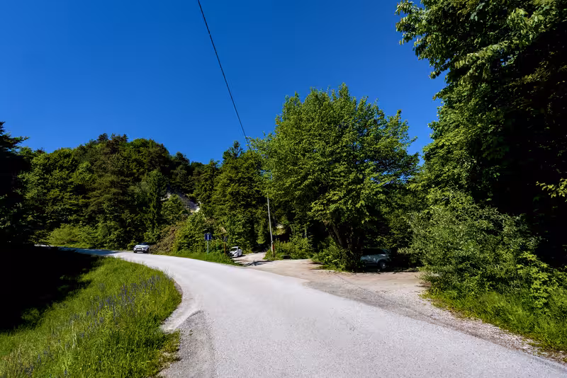 The road.