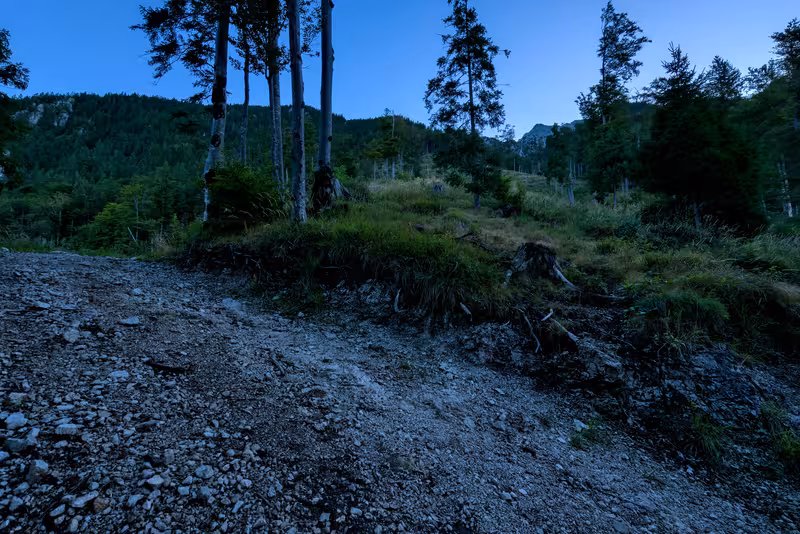 The path.