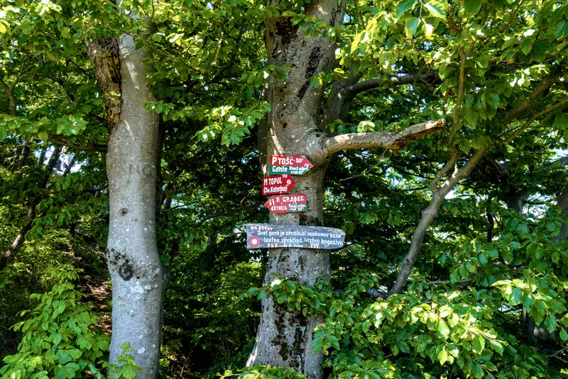 Signs at Grmada.