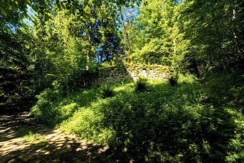 The path.