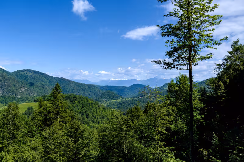 A view from the path.