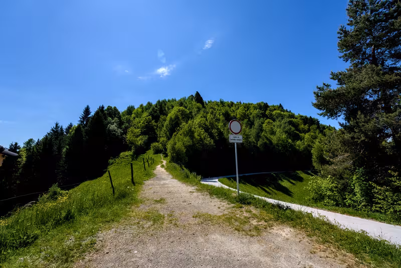 The path.