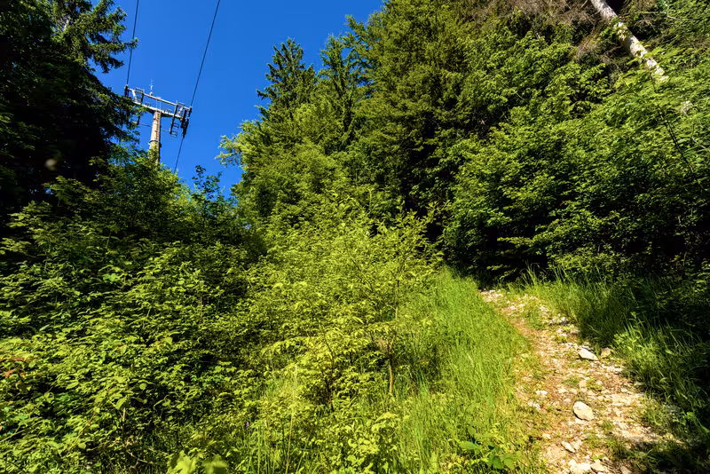 The path passing under the ski lift.
